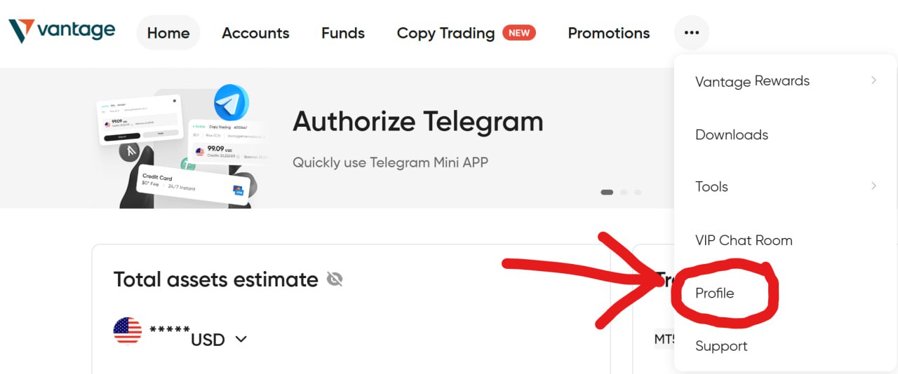 Click Profile from the Vantage menu